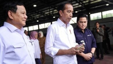 Profil PT Rakabu Sejahtera, Korporasi Meubel Milik Keluarga Jokowi